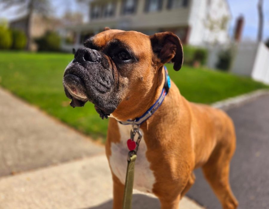 491431038_17878117656300572_3419550525900015897_n