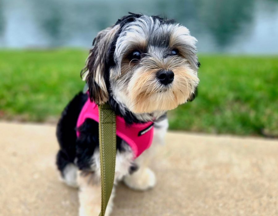 508431405_17883801096300572_6961973338752925684_n