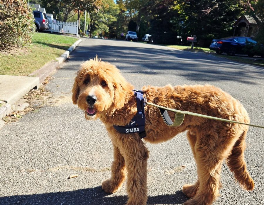 562633918_17898668139300572_2066100631612685023_n